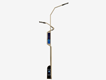 LD-ZHY-202006